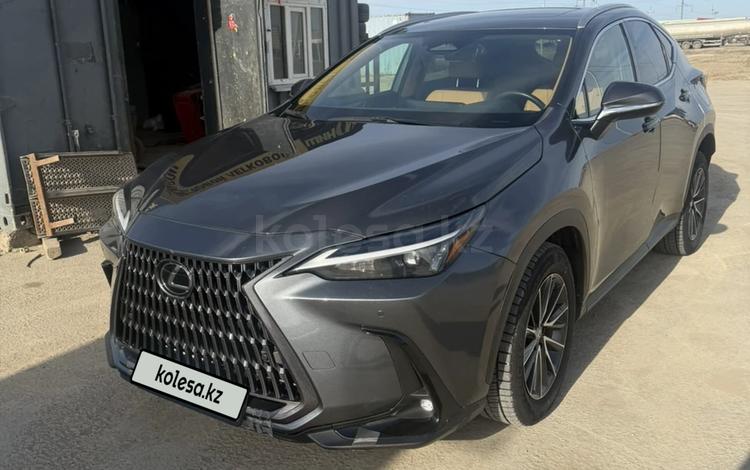 Lexus NX 350 — миниатюра 3