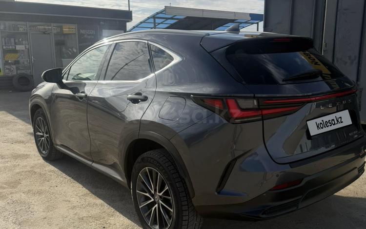 Lexus NX 350 — миниатюра 5