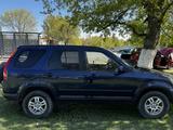 Honda CR-V 2003 годаүшін4 400 000 тг. в Алматы – фото 5