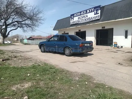 Nissan Primera 1994 года за 774 520 тг. в Узынагаш – фото 8