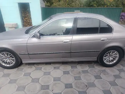 BMW 523 1999 года за 2 400 000 тг. в Алматы – фото 7