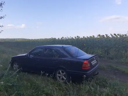 Mercedes-Benz C 180 1995 года за 2 100 000 тг. в Бишкуль – фото 2