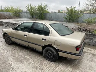 Nissan Primera