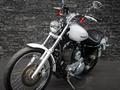 Harley-Davidson  SPORTSTER XL1200 BATYR MOTO 2004 года за 2 970 000 тг. в Алматы – фото 37