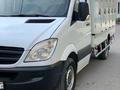 Mercedes-Benz  Sprinter 2012 года за 16 500 000 тг. в Шымкент – фото 6