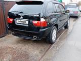 BMW X5 2001 годаүшін5 400 000 тг. в Жезказган – фото 5