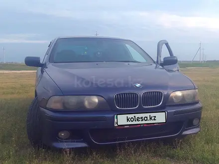 BMW 528 1998 года за 3 500 000 тг. в Алматы – фото 13