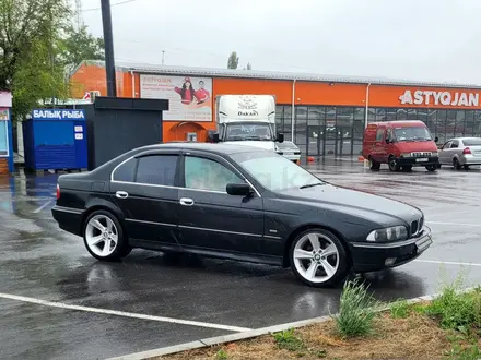 BMW 525 1996 годаүшін4 700 000 тг. в Костанай – фото 3