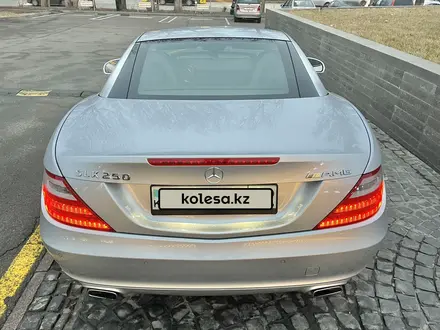 Mercedes-Benz SLK 250 2011 годаүшін15 000 000 тг. в Алматы – фото 15