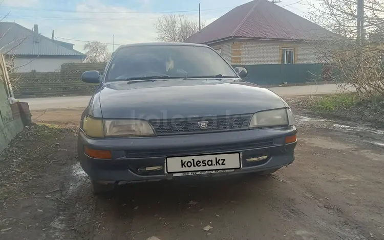 Toyota Corolla 1994 года за 440 000 тг. в Аягоз