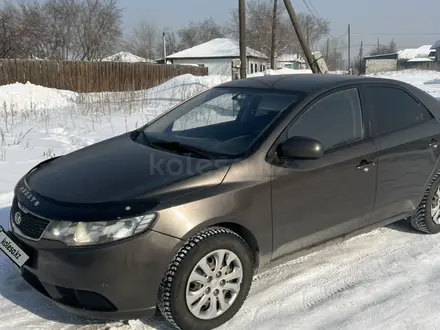 Kia Cerato 2012 года за 5 100 000 тг. в Семей