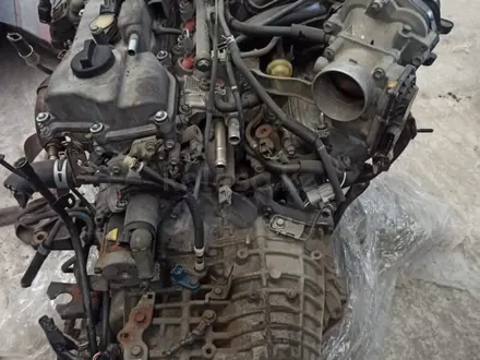 Двигатель 3MZ на Lexus ES330 3.3 за 650 000 тг. в Туркестан