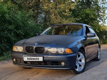 BMW 525 2001 года за 3 600 000 тг. в Павлодар