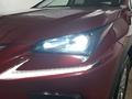 Lexus NX 300 2020 года за 11 490 000 тг. в Кызылорда – фото 29