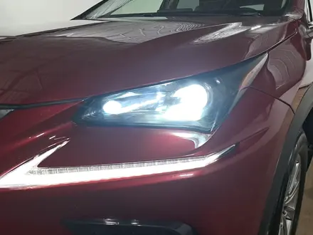 Lexus NX 300 2020 года за 11 490 000 тг. в Кызылорда – фото 29
