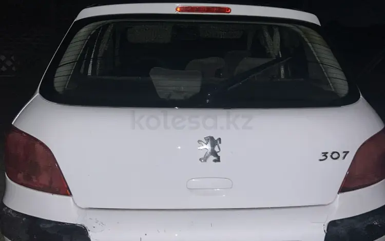 Peugeot 307 2002 годаүшін1 200 000 тг. в Тараз