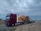 DAF  XF 105 2009 года за 20 500 000 тг. в Алматы