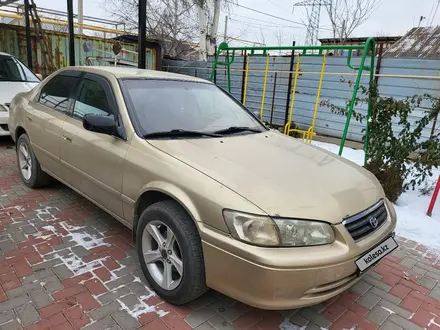 Toyota Camry 2001 года за 3 300 000 тг. в Алматы – фото 2