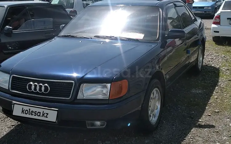 Audi 100 1993 года за 2 300 000 тг. в Мерке