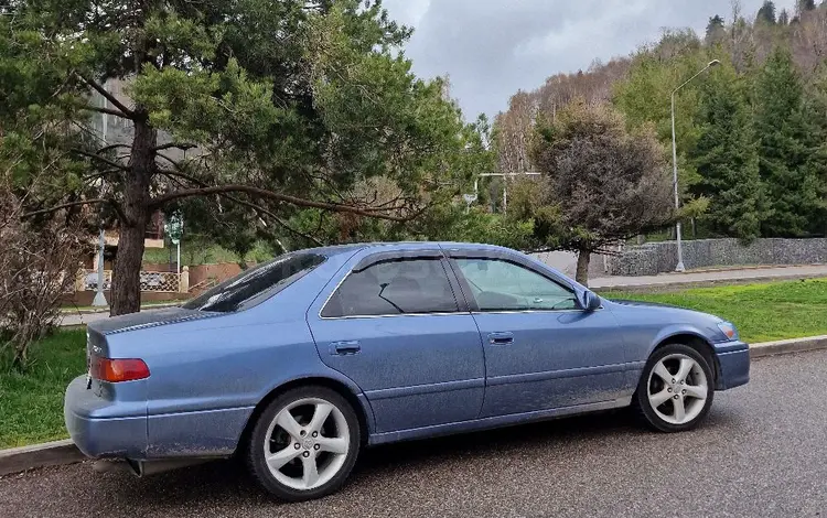 Toyota Camry 2001 года за 3 450 000 тг. в Алматы