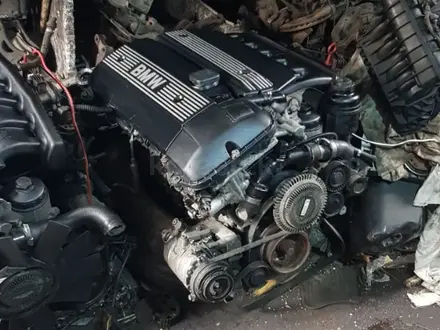 Двигатель Дизель Бензин из Германииүшін250 000 тг. в Алматы – фото 14