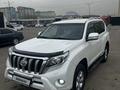 Toyota Land Cruiser Prado 2013 годаүшін12 700 000 тг. в Алматы – фото 3