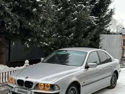 BMW 530 2000 года за 4 600 000 тг. в Алматы – фото 4