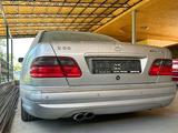 Mercedes-Benz E 55 AMG 2001 годаfor8 500 000 тг. в Алматы – фото 3