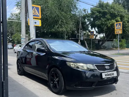 Kia Cerato 2011 года за 4 600 000 тг. в Алматы