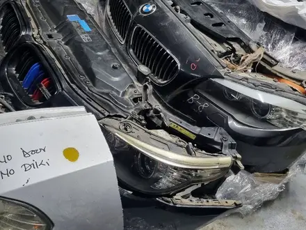 Ноускат f10 за 1 000 000 тг. в Актау – фото 3