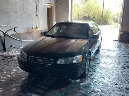 Toyota Camry 2001 года за 3 800 000 тг. в Павлодар – фото 3