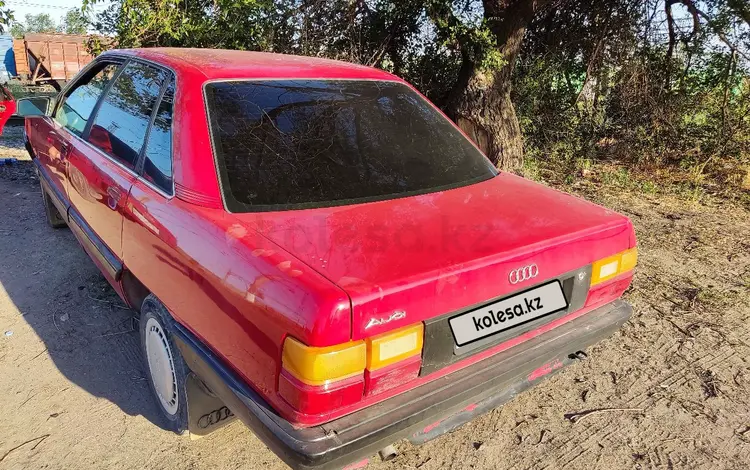 Audi 100 1989 годаүшін1 250 000 тг. в Шу