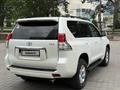 Toyota Land Cruiser Prado 2012 года за 22 500 000 тг. в Алматы – фото 5