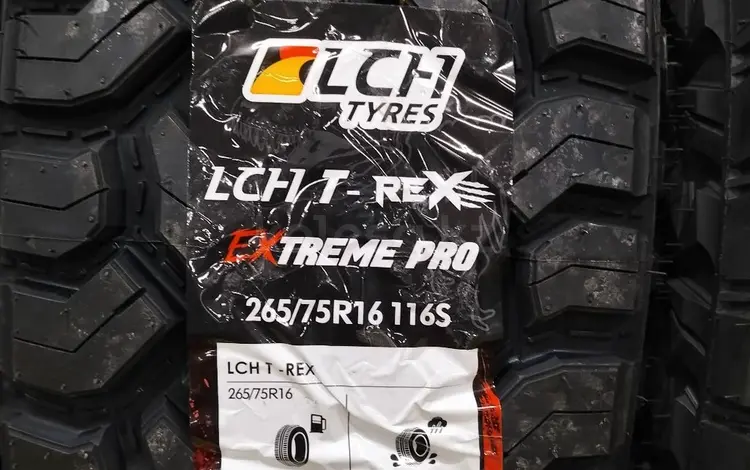 EXTREME PRO. за 55 000 тг. в Алматы