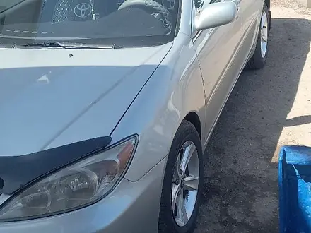 Toyota Camry 2004 года за 4 500 000 тг. в Кулан – фото 3