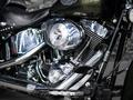 Harley-Davidson  SOFTAIL DELUXE BATYR MOTO 2003 года за 4 000 000 тг. в Алматы – фото 5
