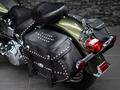 Harley-Davidson  SOFTAIL DELUXE BATYR MOTO 2003 годаүшін4 000 000 тг. в Алматы – фото 34