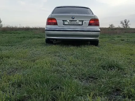 BMW 525 2000 годаүшін3 500 000 тг. в Караганда – фото 5