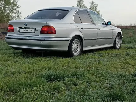 BMW 525 2000 годаүшін3 500 000 тг. в Караганда – фото 7