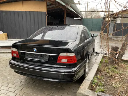 BMW 530 2002 года за 733 733 тг. в Алматы – фото 4
