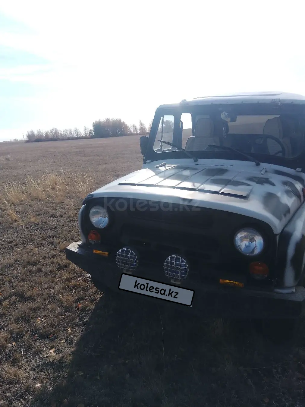 УАЗ 3151, 2007