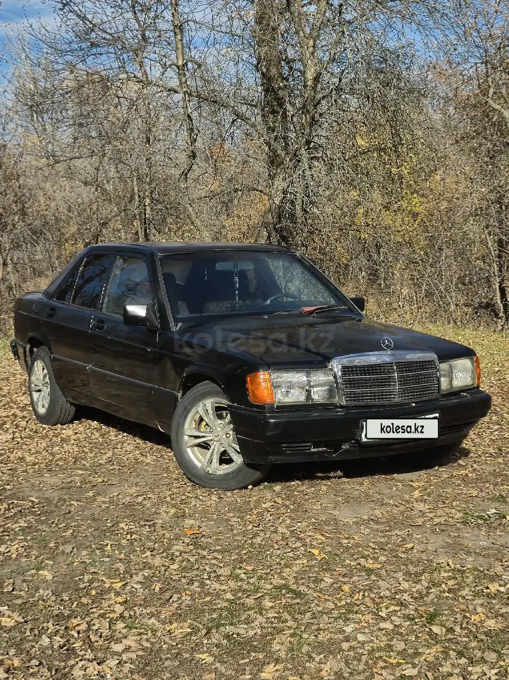 Mercedes-Benz 190, 1989