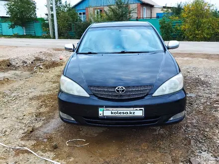 Toyota Camry 2003 года за 4 200 000 тг. в Кокшетау – фото 9