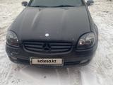 Mercedes-Benz SLK 230 2000 годаүшін4 500 000 тг. в Темиртау