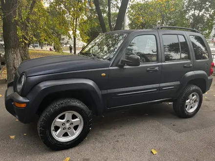 Jeep Liberty 2004 года за 4 990 000 тг. в Алматы