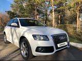 Audi Q5 2010 годаfor7 300 000 тг. в Караганда – фото 2