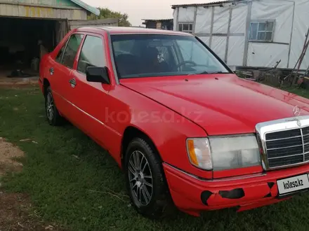 Mercedes-Benz E 300 1991 года за 1 300 000 тг. в Темиртау – фото 9