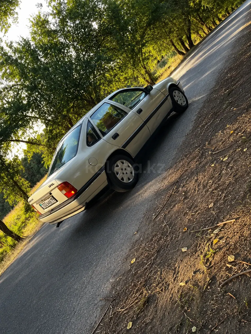 Opel Vectra, 1991