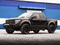 Бампер силовой передний BMS ALFA для Ford F-150 Raptor 2009-2014 за 631 400 тг. в Алматы – фото 5