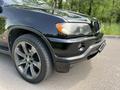 BMW X5 2001 года за 6 100 000 тг. в Алматы – фото 19